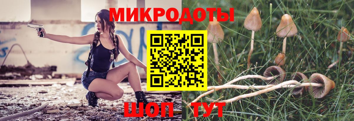 Галлюциногенные грибы прущие грибы  Вход с VPN  Назрань  Галлюциногенные грибы Magic Shrooms 