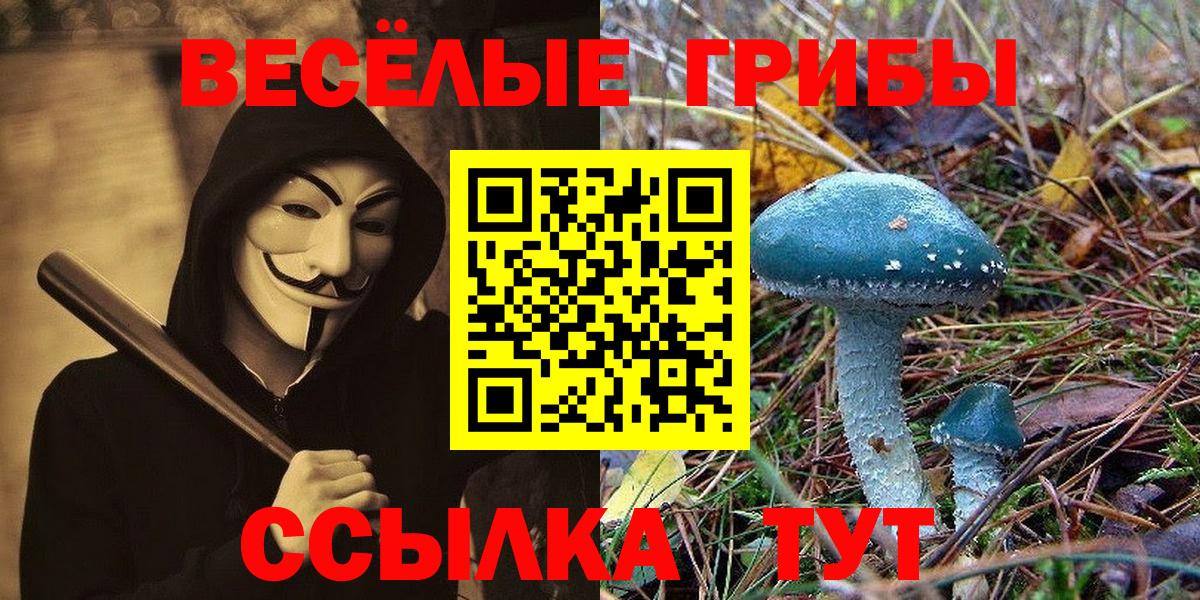 Псилоцибиновые грибы GOLDEN TEACHER Назрань
